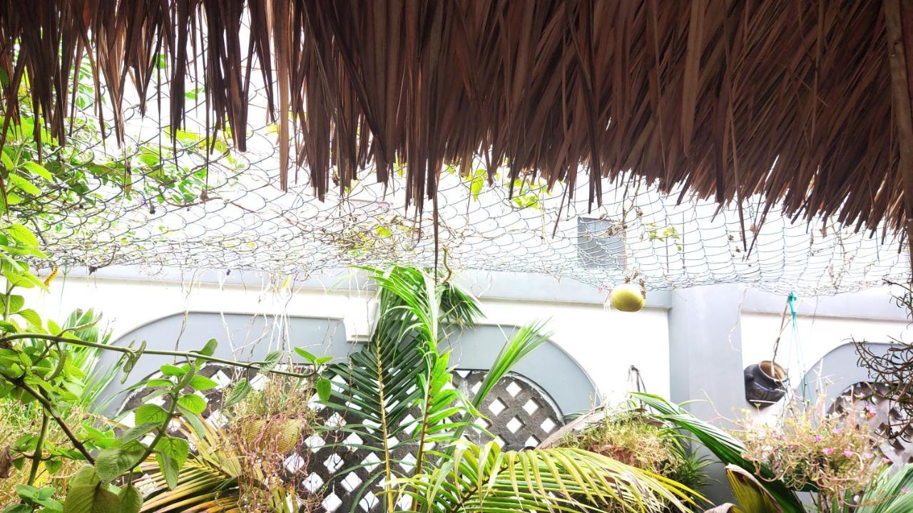 קוי נון Homestay Nha Muoi מראה חיצוני תמונה