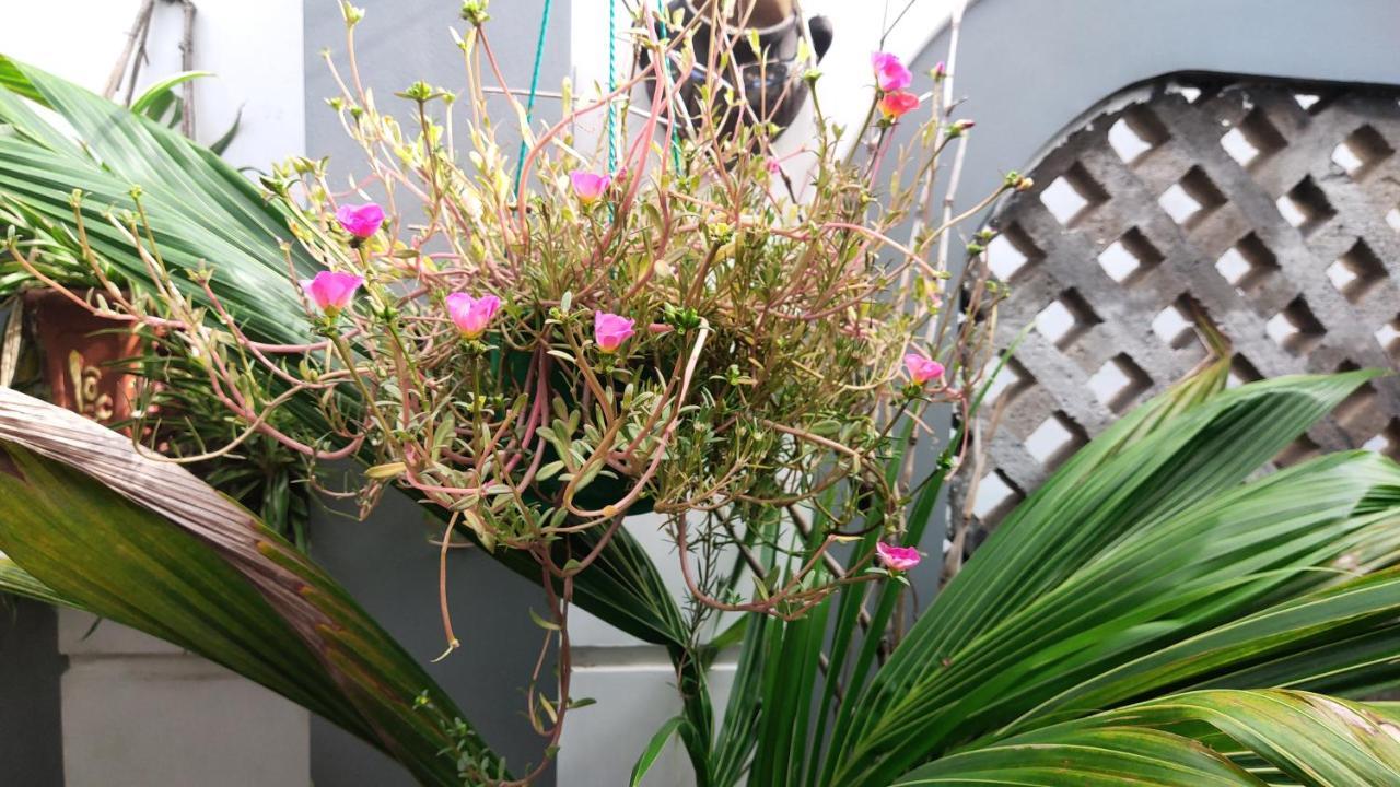 קוי נון Homestay Nha Muoi מראה חיצוני תמונה